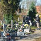 zdjęcie nr 29