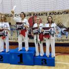 zdjęcie nr 15