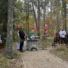 zdjęcie nr 13