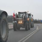 zdjęcie nr 56