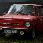 Fotka nr 2 z 101