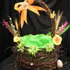 zdjęcie nr 21