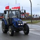 zdjęcie nr 44
