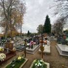 zdjęcie nr 48