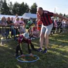 zdjęcie nr 13