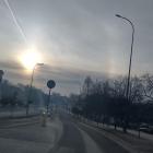 Fotka nr 5 z 8
