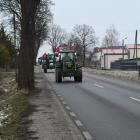 zdjęcie nr 8