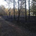 zdjęcie nr 18