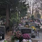 zdjęcie nr 22