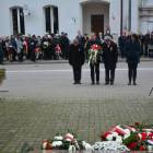 zdjęcie nr 71