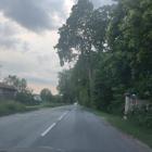 zdjęcie nr 10
