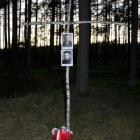 zdjęcie nr 17