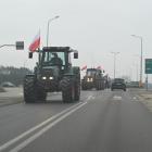 zdjęcie nr 45