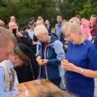 zdjęcie nr 7