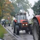 zdjęcie nr 15