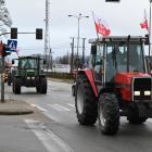 zdjęcie nr 42