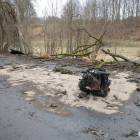 Fotka nr 2 z 5