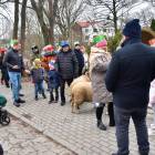 zdjęcie nr 68