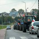 zdjęcie nr 32