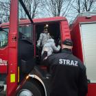Fotka nr 2 z 15