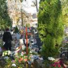 zdjęcie nr 39