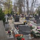 zdjęcie nr 40