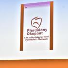 zdjęcie nr 24
