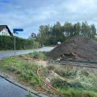 Fotka nr 4 z 14
