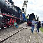 zdjęcie nr 45