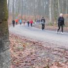 zdjęcie nr 29