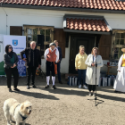 zdjęcie nr 13