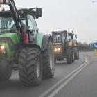 zdjęcie nr 55