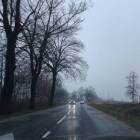 zdjęcie nr 7