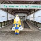 zdjęcie nr 8