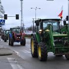 zdjęcie nr 47