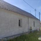 Fotka nr 5 z 6