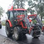 zdjęcie nr 12