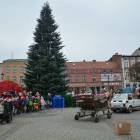 zdjęcie nr 52