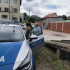 Fotka nr 1 z 10