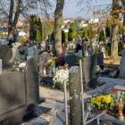 zdjęcie nr 21