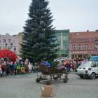 zdjęcie nr 57