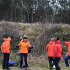 Fotka nr 1 z 49