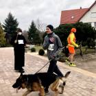 zdjęcie nr 11