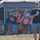 zdjęcie nr 36