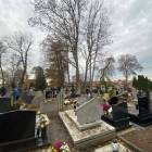 zdjęcie nr 46