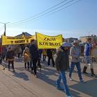 zdjęcie nr 246