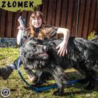 Fotka nr 5 z 19