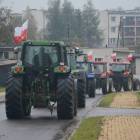 zdjęcie nr 30