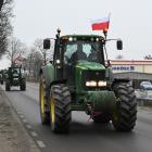 zdjęcie nr 16