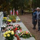 zdjęcie nr 30